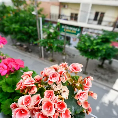 Niku 3* Тирана