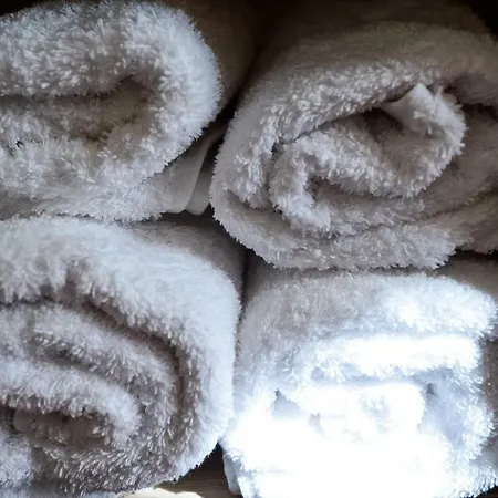 Niku Отель Тирана