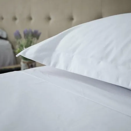 Hotel Niku 3*