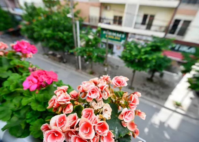 Niku 3* Тирана