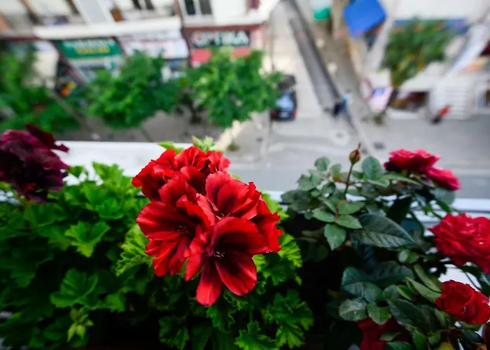 Отель Niku Тирана