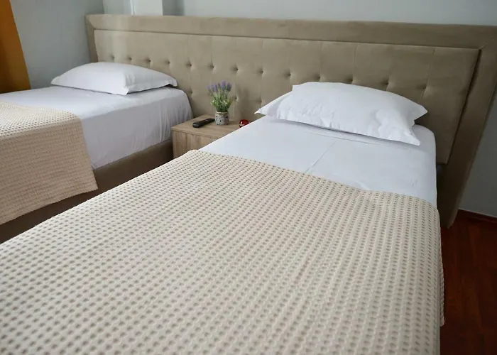 Niku 3* ティラナ